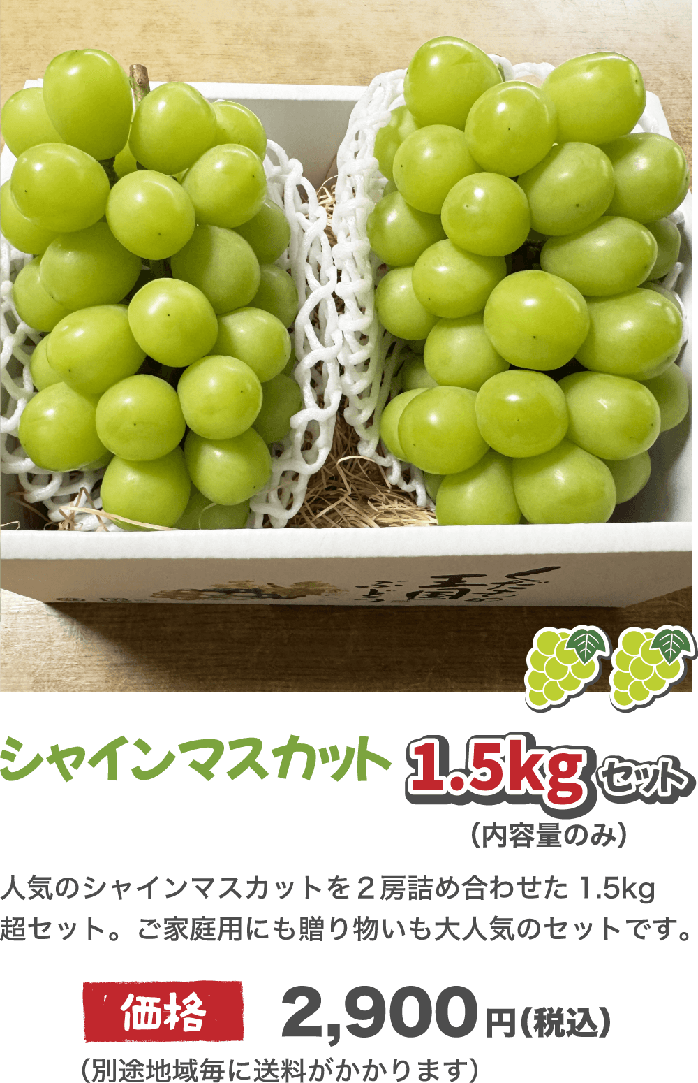 アセット 11
