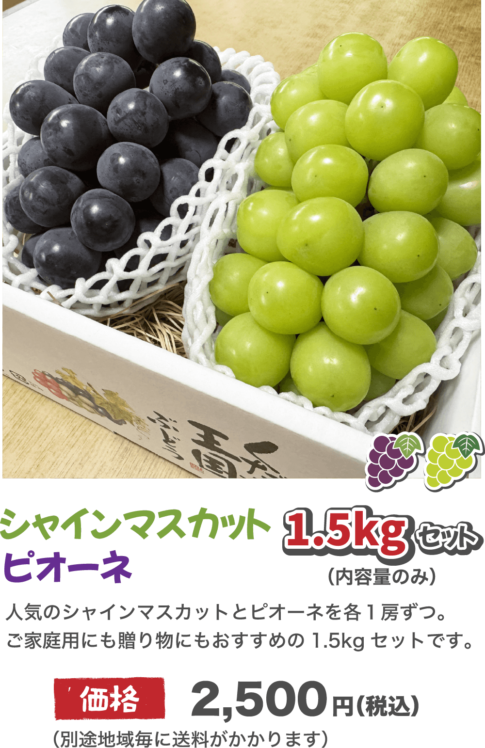 アセット 12