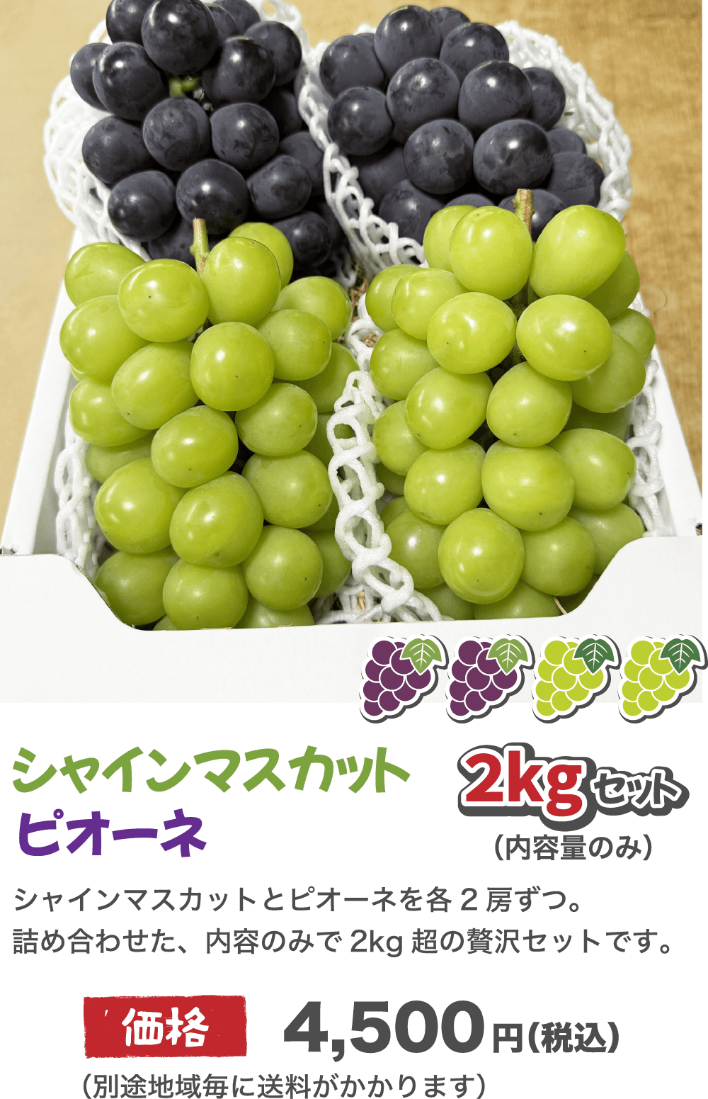 アセット 14