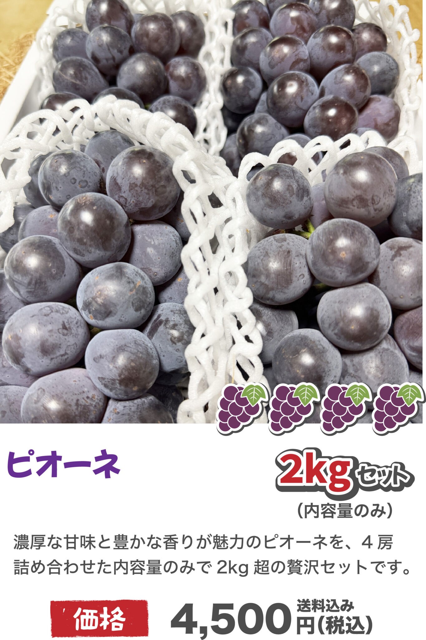 アセット 21