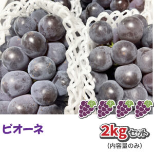 ピオーネ2kgセット