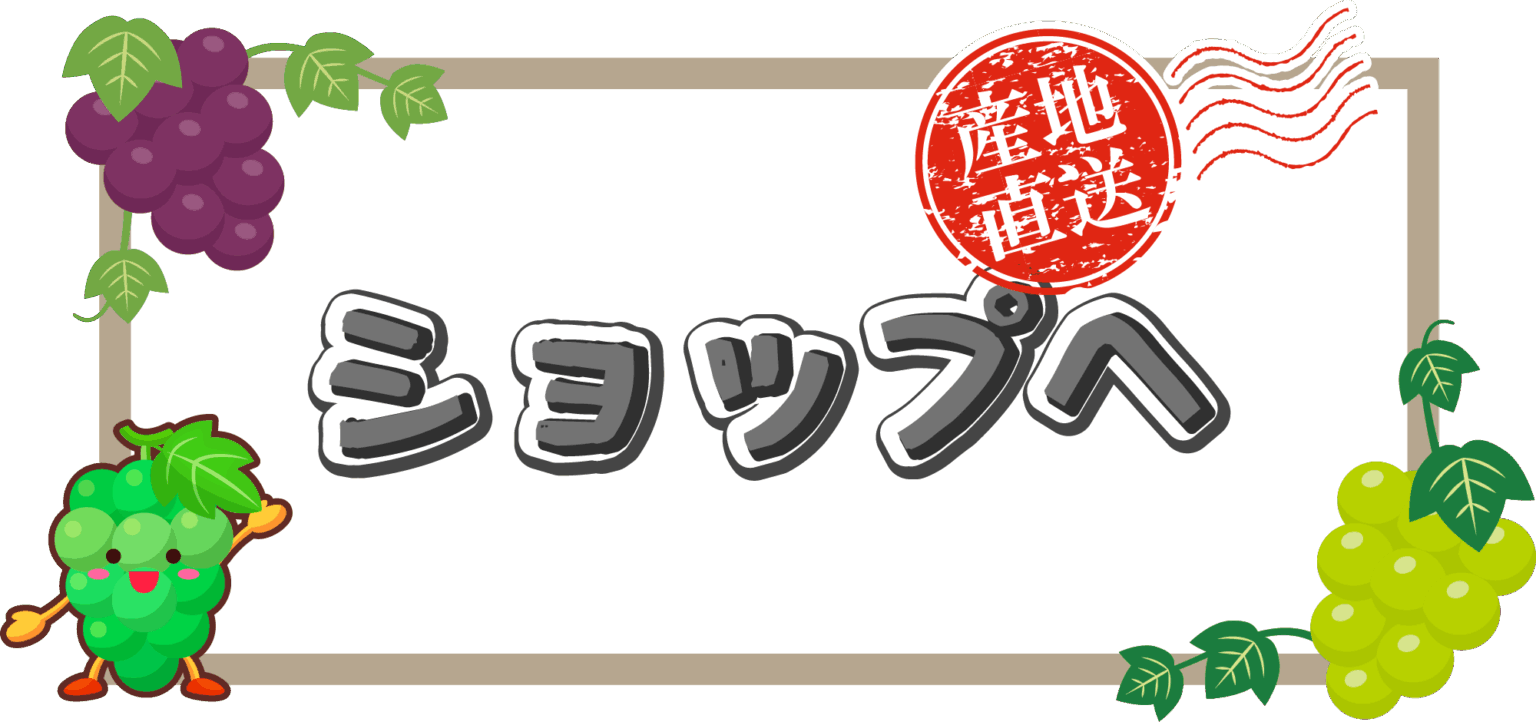アセット 3