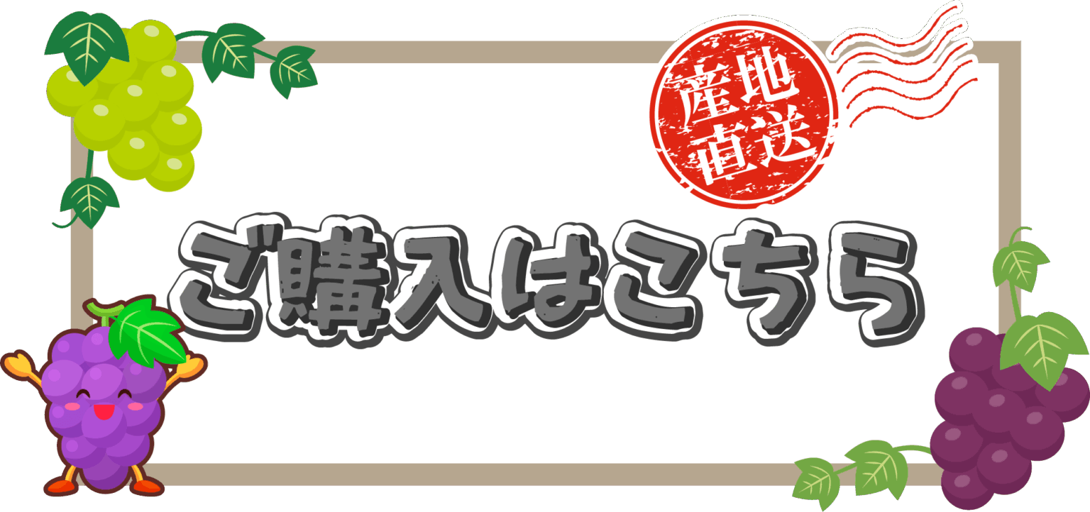 バナー前_1