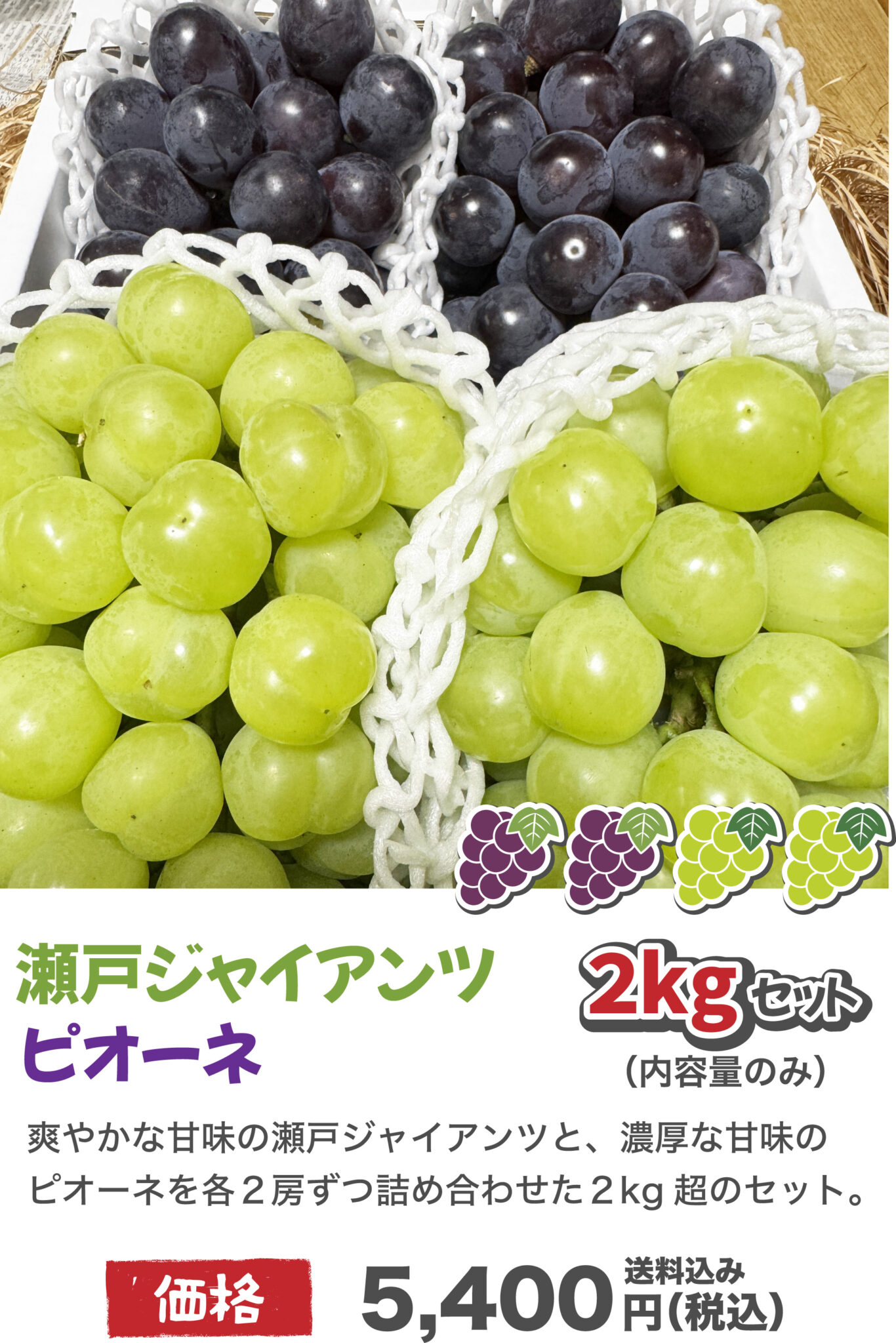 アセット 19