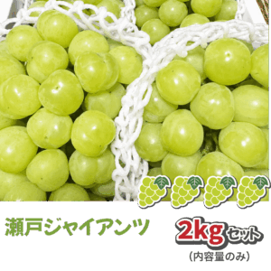 瀬戸ジャイアンツ2kgセット