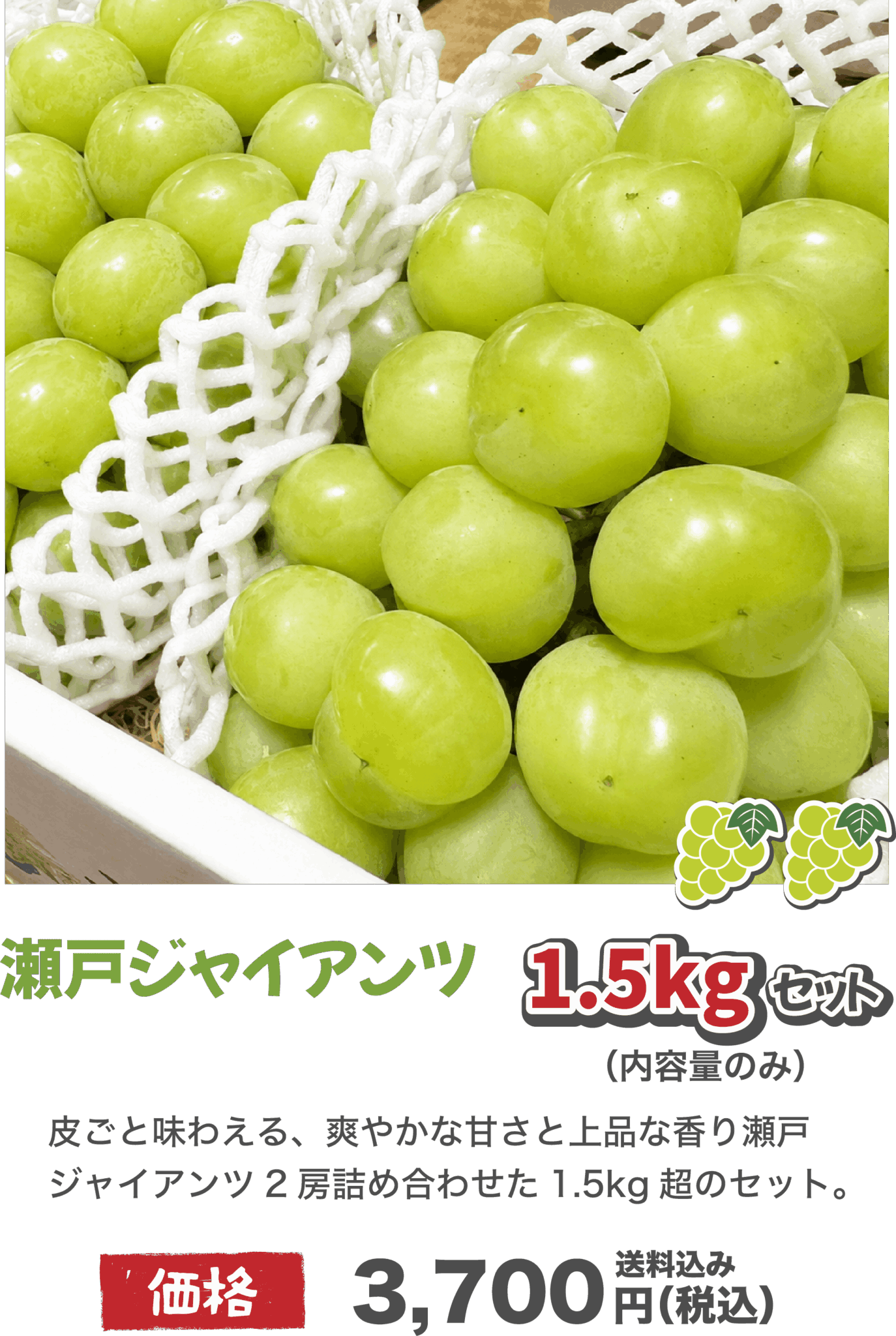 アセット 23