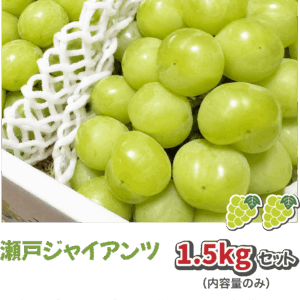 瀬戸ジャイアンツ1.5kgセット