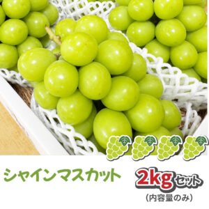 絶品朝採り シャインマスカット2kgセット