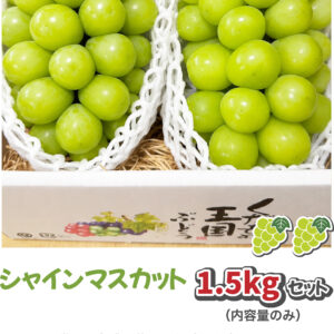 絶品朝採り シャインマスカット1.5kgセット